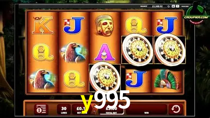 Descubra o Mundo do Cassino Online com y995
